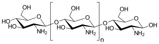 Molécula de quitosano