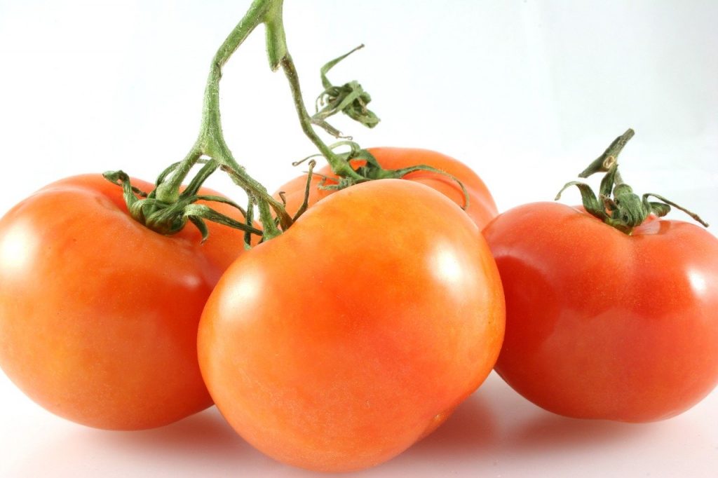 tomate fruta